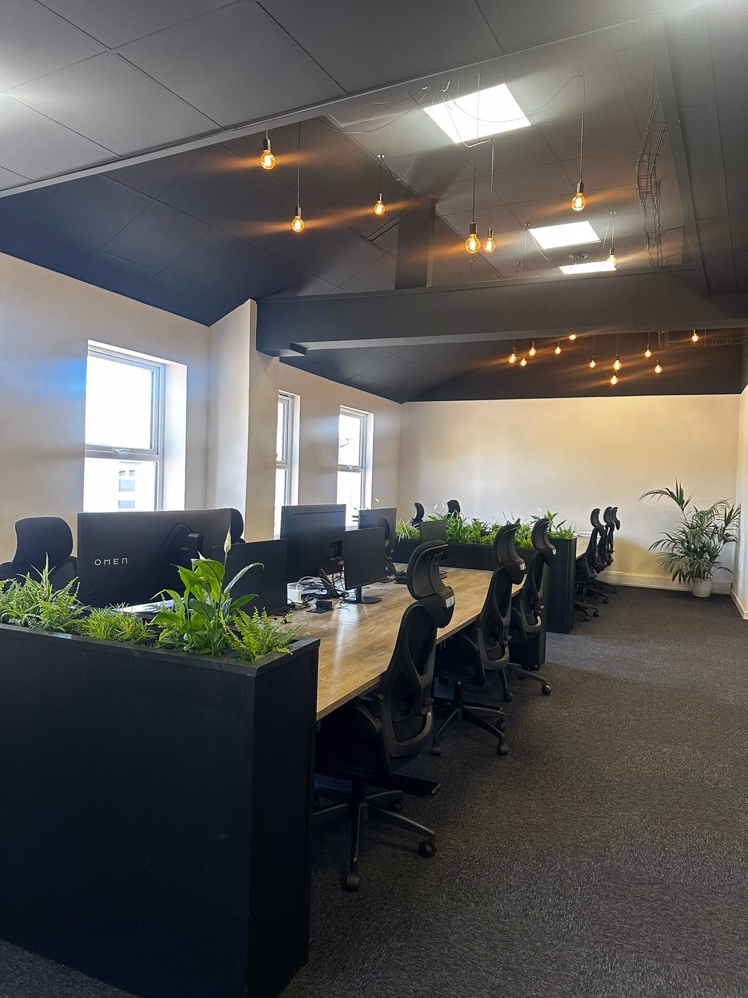 Open-plan desks with monitors and plants